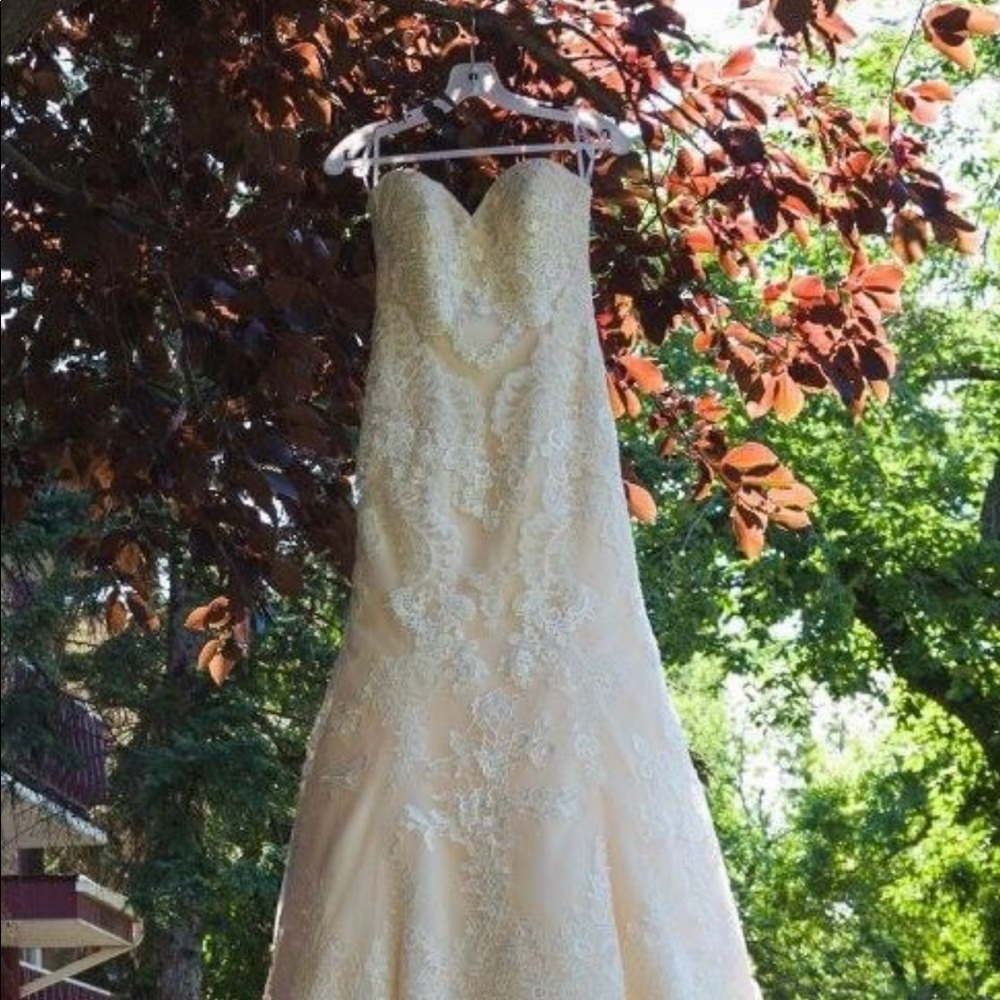 Wedding Dress - White / Cream